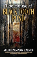 The House at Black Tooth Pond by Stephen Mark Rainey