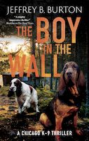 The Boy in the Wall | Jeffrey B. Burton
