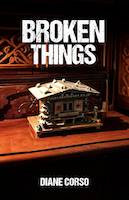 Broken Things by Diane Corso