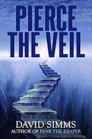 PIERCE THE VEIL | David Simms