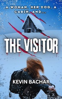 The Visitor | Kevin Bachar