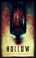 Hollow | Davide Tarsitano