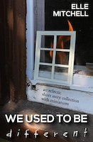 We Used to Be Different: a collection of stories and miniatures | Elle Mitchell