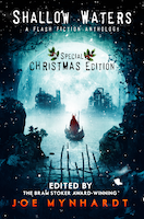 Shallow Waters: Special Christmas Edition | Joe Mynhardt