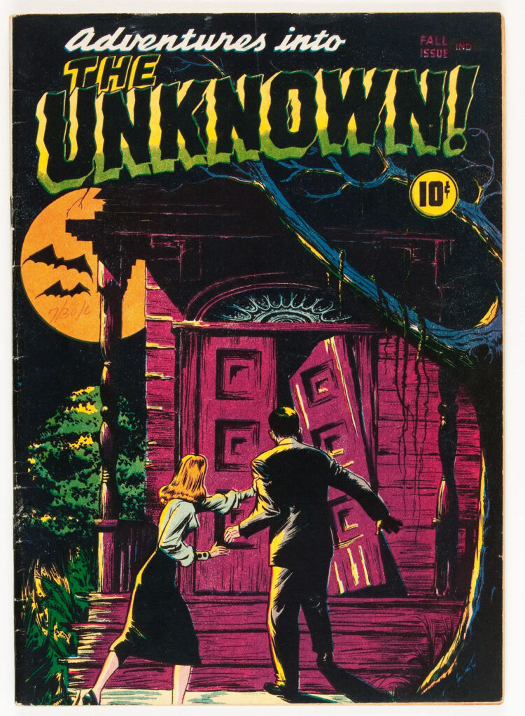 adventuresintotheunknown_1_cover