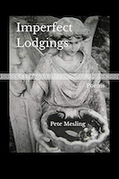 Imperfect Lodgings: Poems